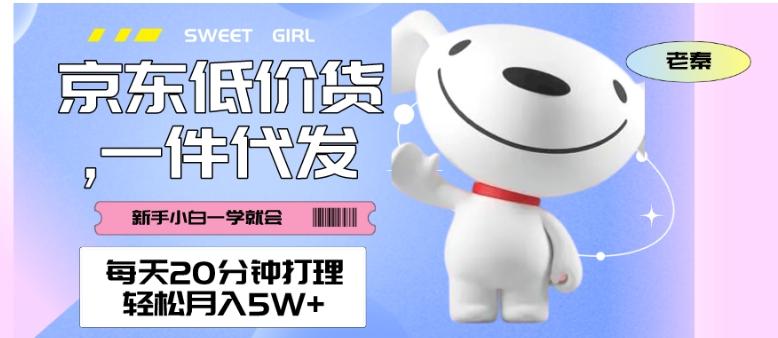 每天20分钟打理京东低价货,一件代发-轻松月入5W+