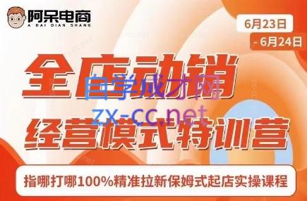阿呆电商·全店动销经营模式特训营(线下录音+思维导图)-兵兵资源