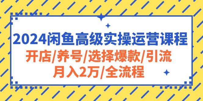 2024闲鱼高级实操运营课程：开店/养号/选择爆款/引流/月入2万/全流程-兵兵资源