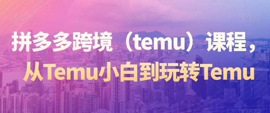 拼多多跨境(temu)课程,从Temu小白到玩转Temu