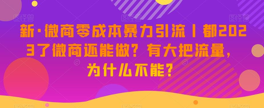 新·微商零成本暴力引流丨都2023了微商还能做？有大把流量，为什么不能？-兵兵资源