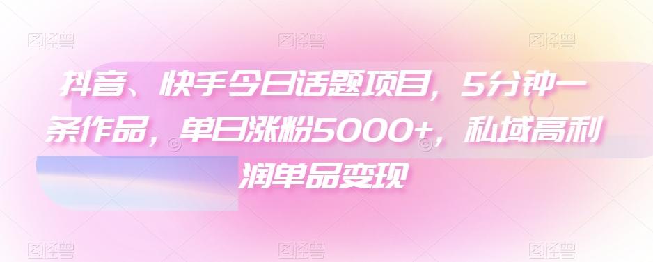 抖音、快手今日话题项目，5分钟一条作品，单日涨粉5000+，私域高利润单品变现-兵兵资源