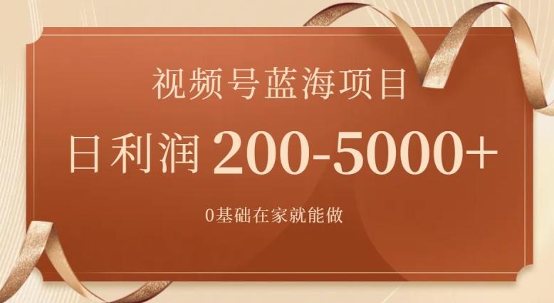 外边收费699视频号项目，最新玩法，简单好操作，一人可做，日四位数-兵兵资源