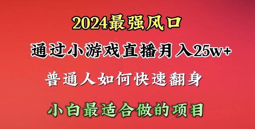 (10020期)2024年最强风口，通过小游戏直播月入25w+单日收益5000+小白最适合做的项目-兵兵资源
