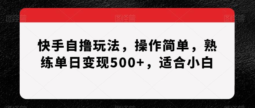 快手自撸玩法，操作简单，熟练单日变现500+，适合小白【揭秘】-兵兵资源