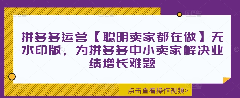 拼多多运营【聪明卖家都在做】无水印版，为拼多多中小卖家解决业绩增长难题-兵兵资源
