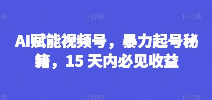 AI赋能视频号，暴力起号秘籍，15 天内必见收益【揭秘】-兵兵资源