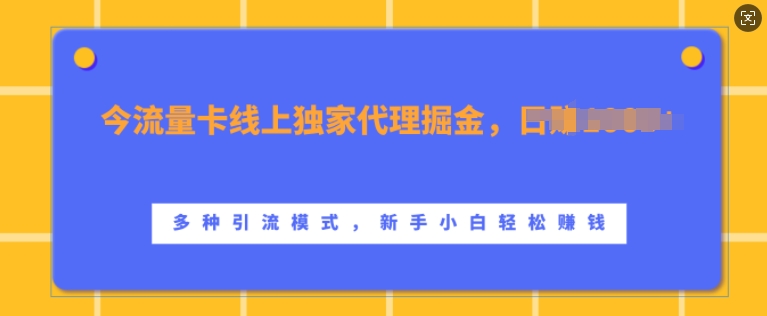 流量卡线上独家代理掘金，日入1k+ ，多种引流模式，新手小白轻松上手【揭秘】-兵兵资源