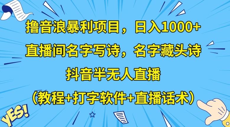 撸音浪暴利项目，日入1000+，直播间名字写诗，名字藏头诗，抖音半无人直播（教程+打字软件+直播话术）【揭秘】-兵兵资源