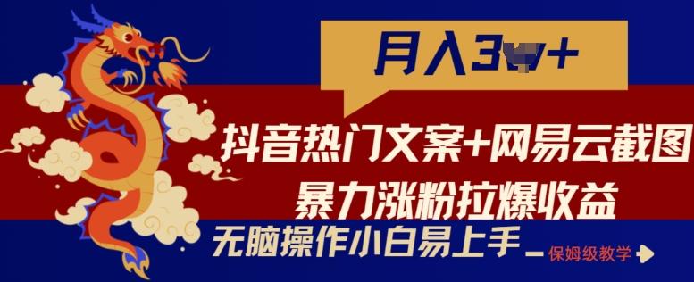 抖音热门文案+网易云截图暴力涨粉拉爆收益玩法，小白无脑操作，简单易上手【揭秘】-兵兵资源