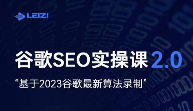 雷子·谷歌SEO 2.0实战课，独立站询盘自由必备，基于2023谷歌最新算法录制-兵兵资源