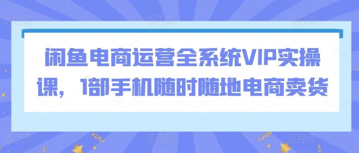闲鱼电商运营全系统VIP实操课，1部手机随时随地电商卖货-兵兵资源