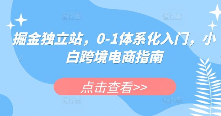 掘金独立站，0-1体系化入门，小白跨境电商指南-兵兵资源