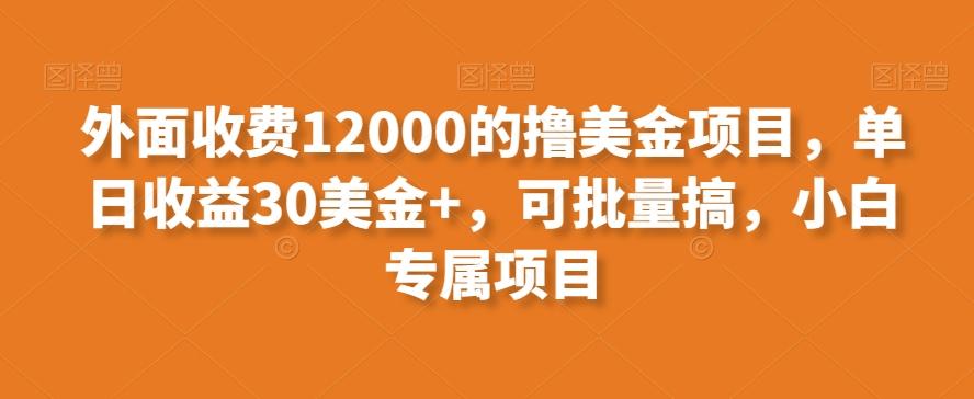 外面收费12000的撸美金项目，单日收益30美金+，可批量搞，小白专属项目-兵兵资源