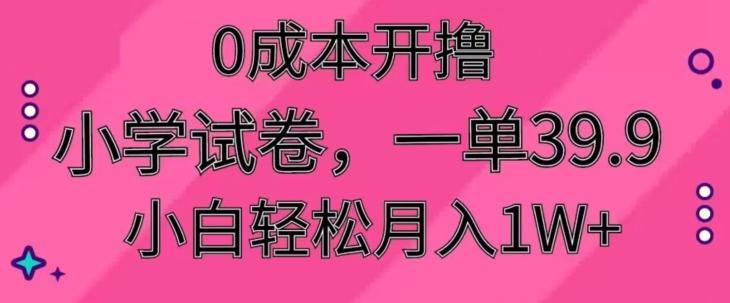 0成本开撸，小学试卷，一单39.9，小白轻松月入1W+-兵兵资源