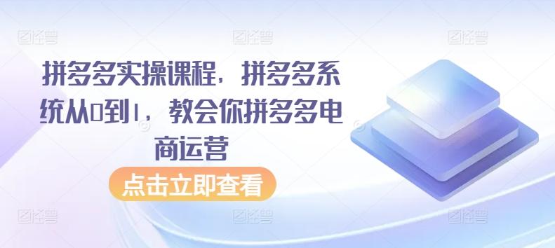 拼多多实操课程，拼多多系统从0到1，教会你拼多多电商运营-兵兵资源
