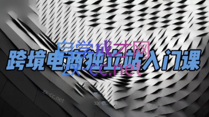 团长·跨境电商独立站入门课(2小时精华)-兵兵资源