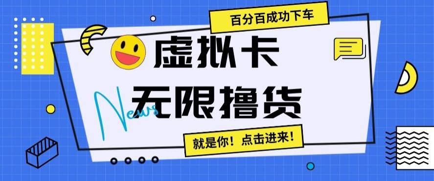 虚拟卡无限撸货，百分百成功下车【仅揭秘】-兵兵资源