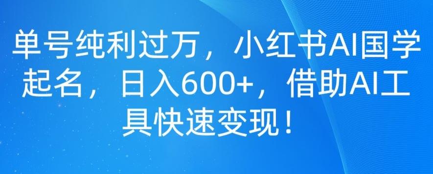 单号纯利过万，小红书AI国学起名，日入600+，借助AI工具快速变现-兵兵资源