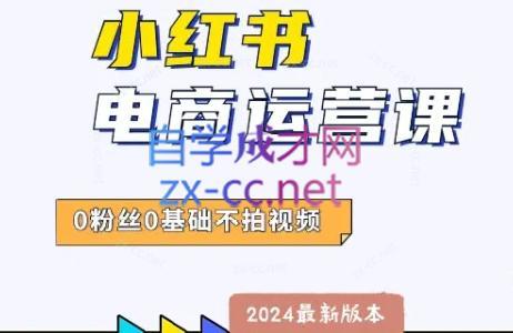 达哥·小红书电商运营(2024版)-兵兵资源