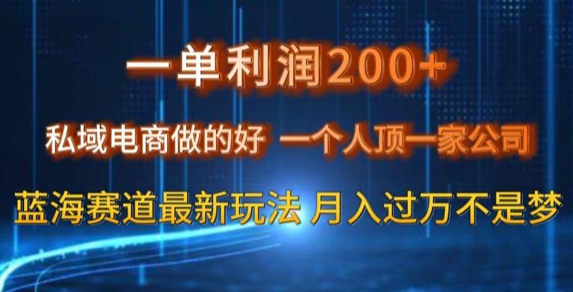 一单利润200私域电商做的好，一个人顶一家公司蓝海赛道最新玩法【揭秘】-兵兵资源