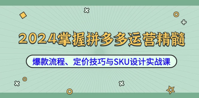 2024掌握拼多多运营精髓：爆款流程、定价技巧与SKU设计实战课-兵兵资源