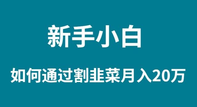 (9308期)新手小白如何通过割韭菜月入 20W-兵兵资源