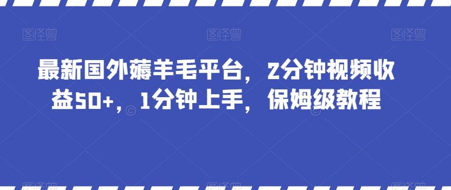 最新国外薅羊毛平台，2分钟视频收益50+，1分钟上手，保姆级教程【揭秘】-兵兵资源