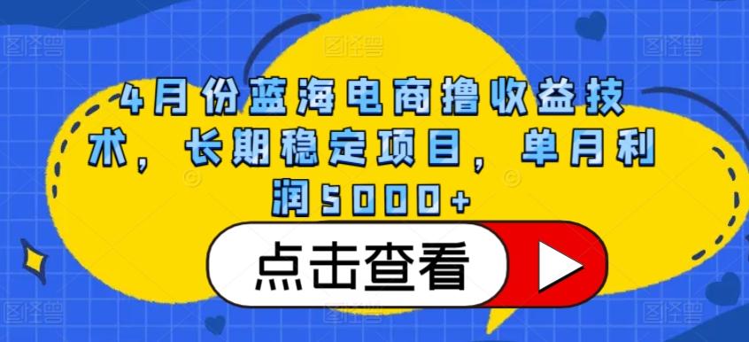 4月份蓝海电商撸收益技术，长期稳定项目，单月利润5000+【揭秘】-兵兵资源
