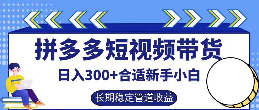 拼多多短视频带货日入300+，实操账户展示看就能学会-兵兵资源