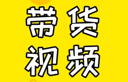芒果老师·教你做抖音短视频和直播带货-兵兵资源