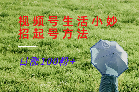 视频号生活小妙招分享赛道， 起号涨粉新方法，日涨100粉-兵兵资源