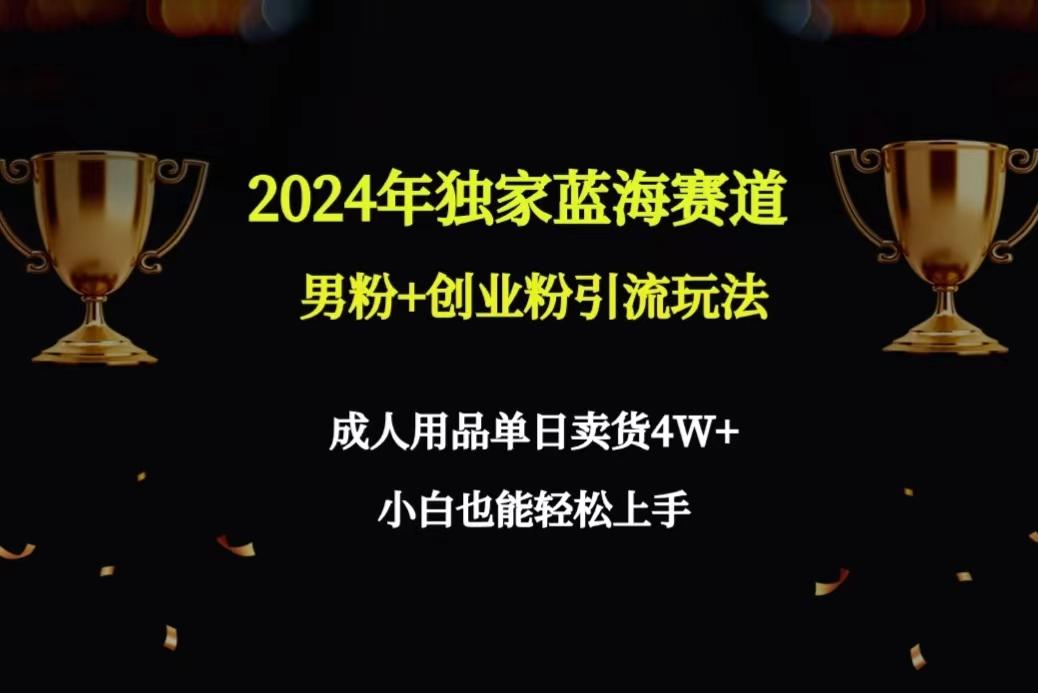 2024年独家蓝海赛道男粉+创业粉引流玩法，成人用品单日卖货4W+保姆教程-兵兵资源