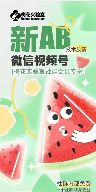 梅花实验室2024年AB技术视频号AB合成破解版-兵兵资源