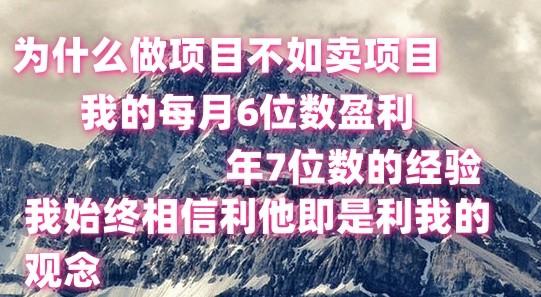 做项目不如卖项目，每月6位数盈利，年7位数经验-兵兵资源