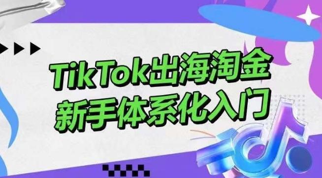 TikTok出海淘金，新手体系化入门，零基础快速入门，掌握短视频、直播带货等引流到变现的知识-兵兵资源