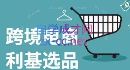 阿甘·2024年跨境电商选品案例-兵兵资源
