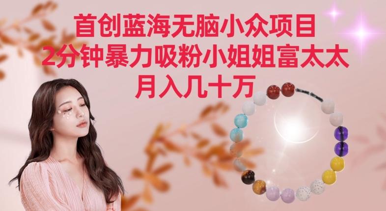 首创蓝海无脑小众项目,2分钟暴力吸粉小姐姐富太太,月入几十万【揭秘】