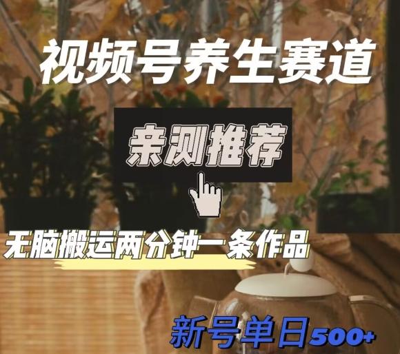 视频号养生赛道暴力掘金，无脑搬运，两分钟一条作品-新日单入500+-兵兵资源