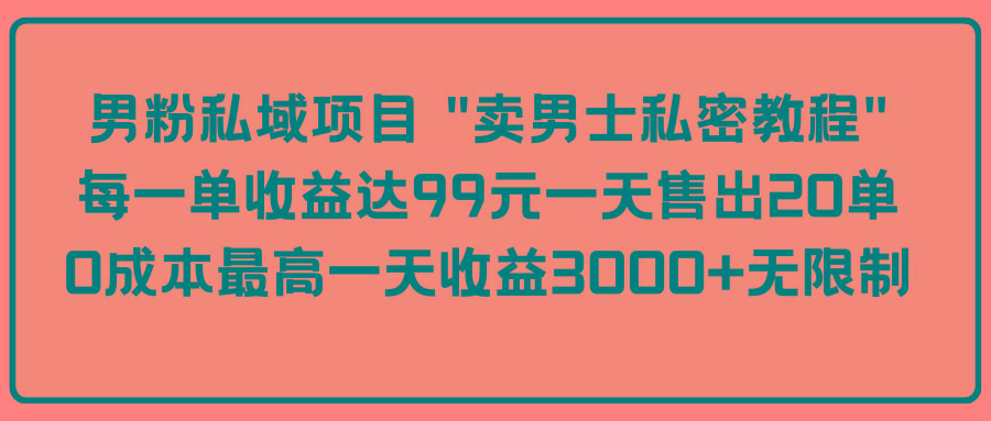 (9730期)男粉私域项目 “卖男士私密教程” 每一单收益达99元一天售出20单-兵兵资源