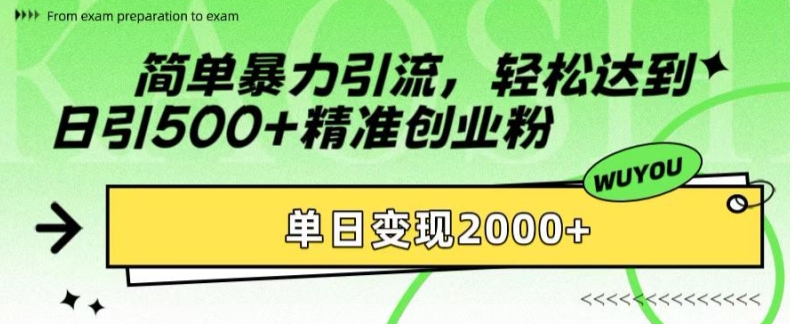 简单暴力引流，轻松达到日引500+精准创业粉，单日变现2k【揭秘】-兵兵资源