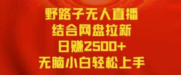 野路子无人直播结合网盘拉新，日赚2500+，小白无脑轻松上手【揭秘】-兵兵资源